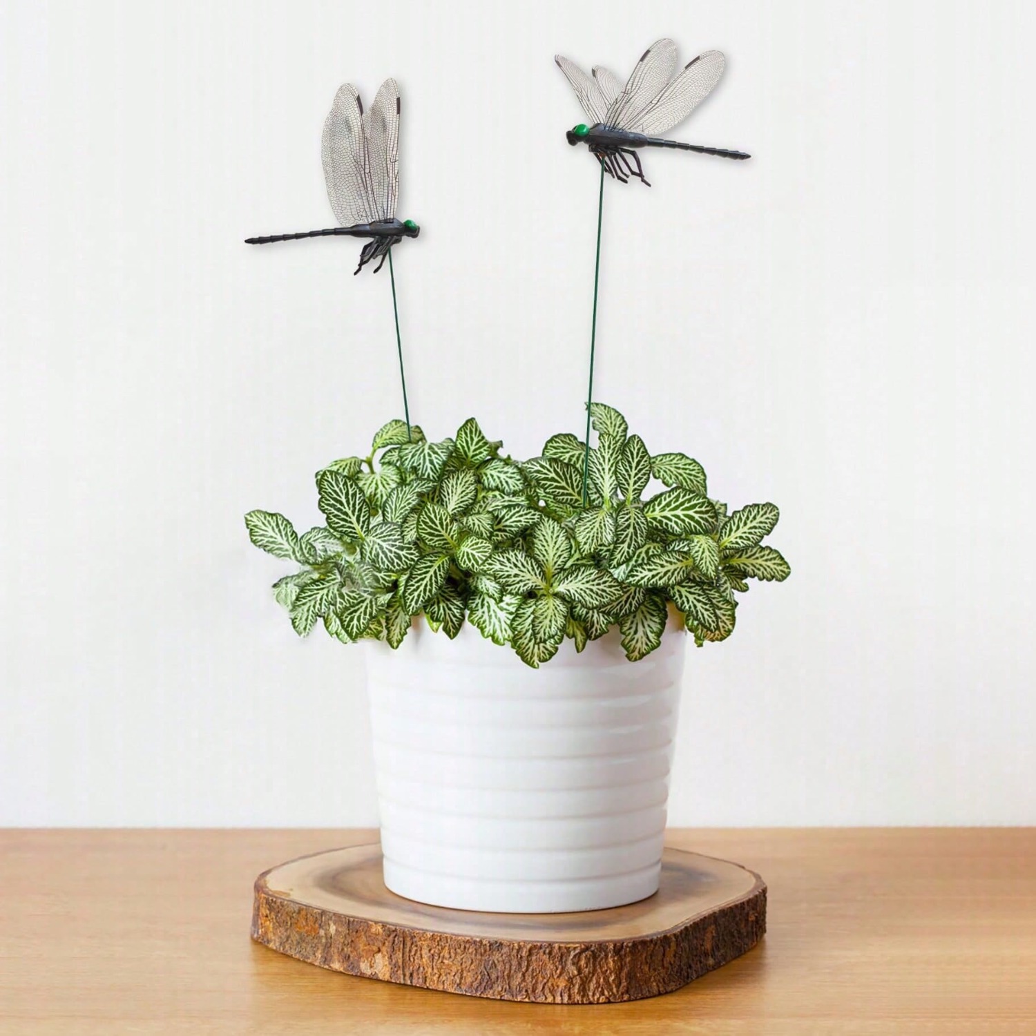 10 Stück Dekorative Libellen,  – 3D Printing Pot Bewertung und Preis