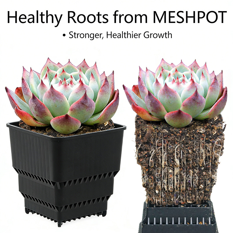 MESHPOT 6er-Pack Quadratische  – 3D Printing Pot Bewertung und Preis